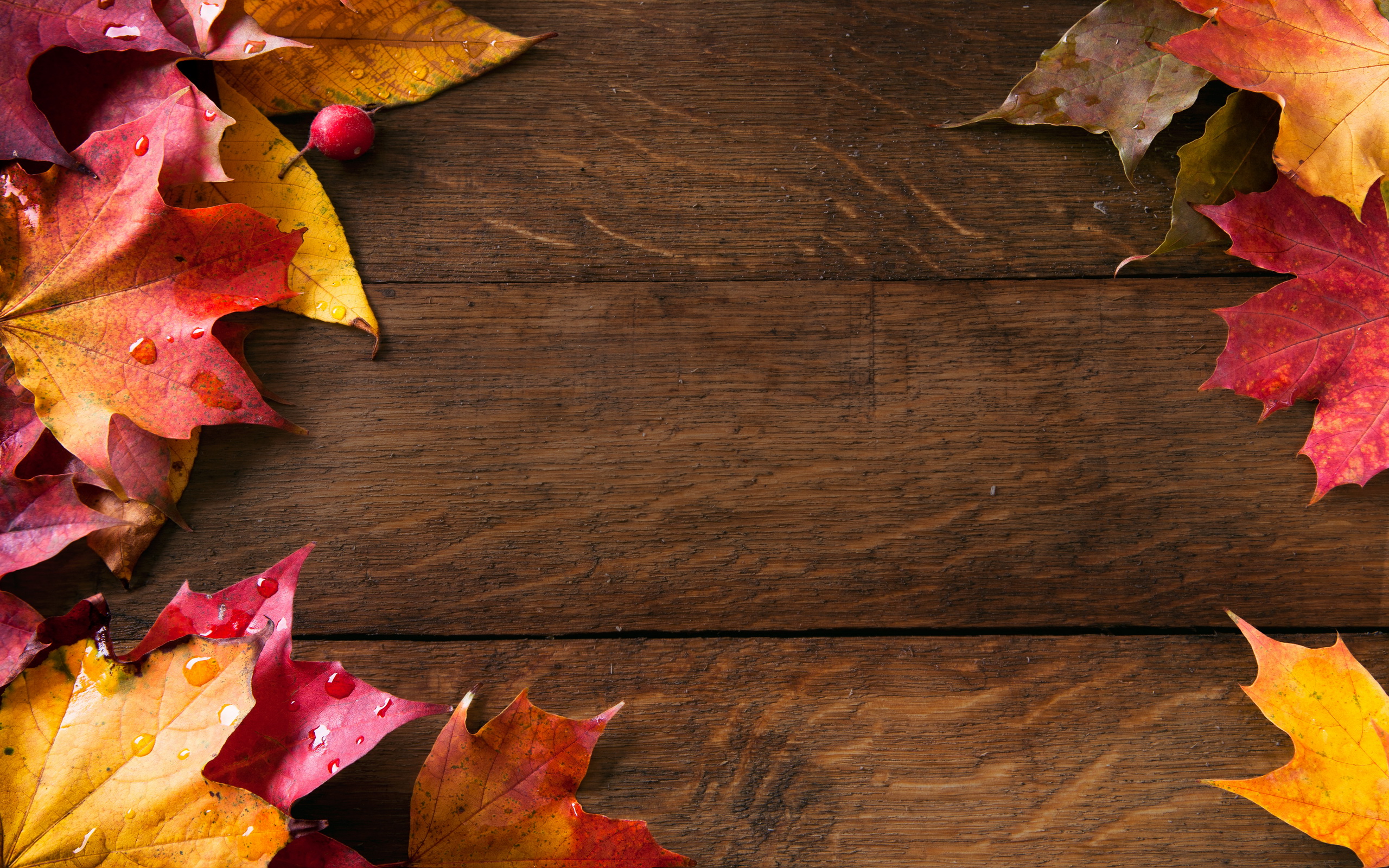 Fall Background Pictures Image