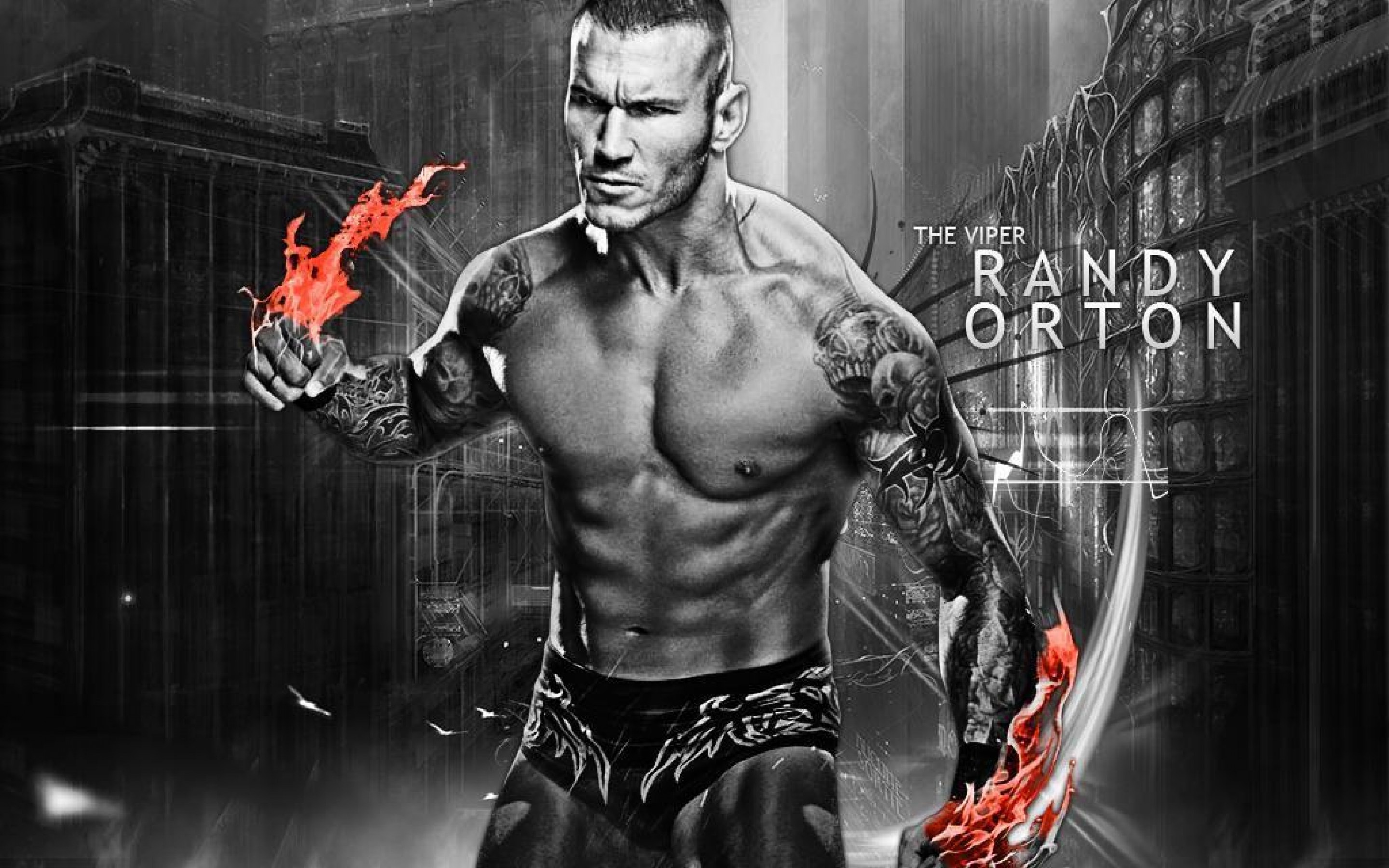 Randy Orton The Viper Wallpaper New HD