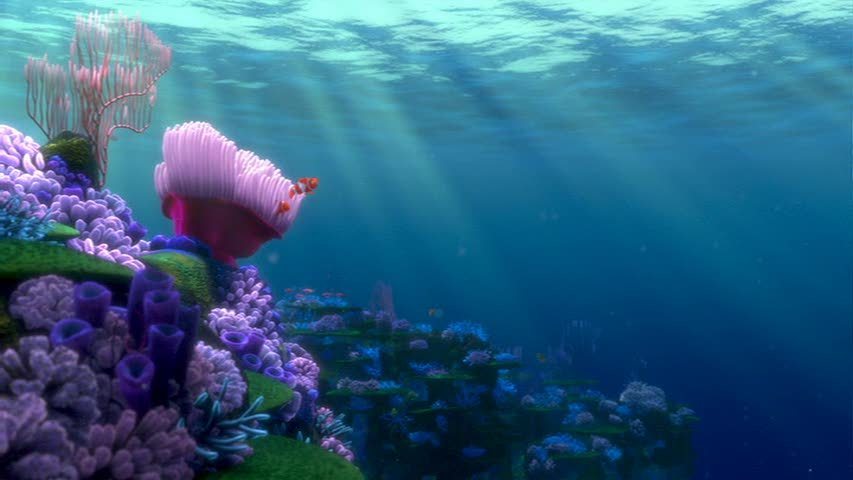 Nemo Underwater Wallpaper Anime High Quality Background
