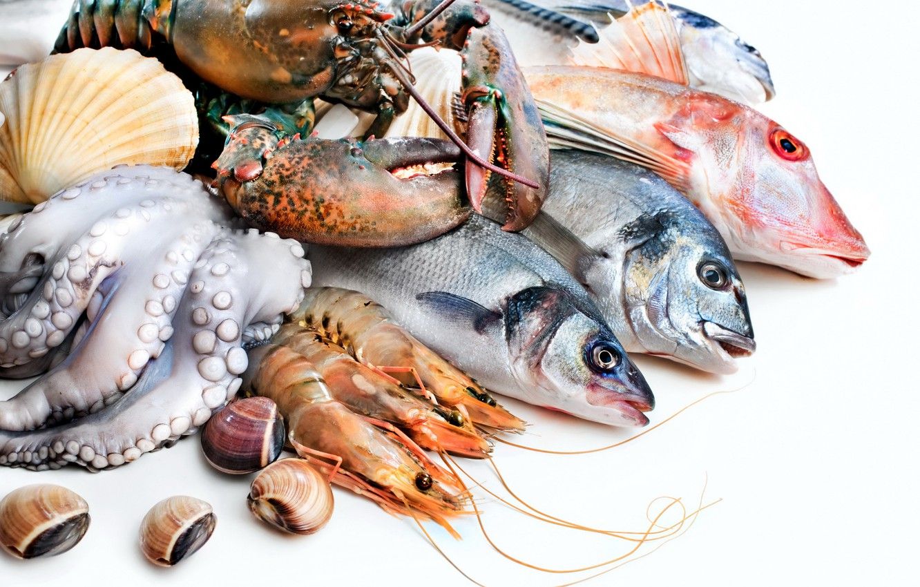 Seafood Wallpaper