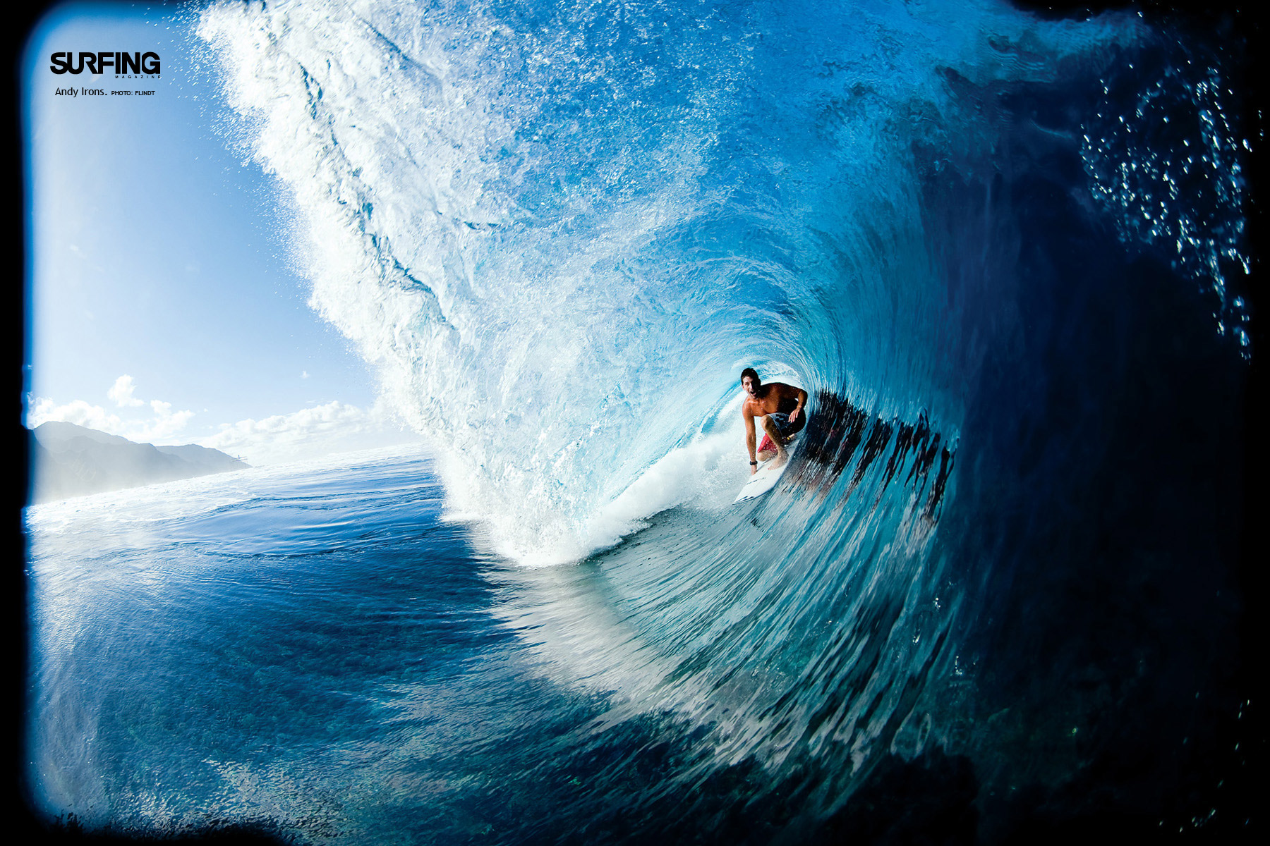 surfer 12 free download