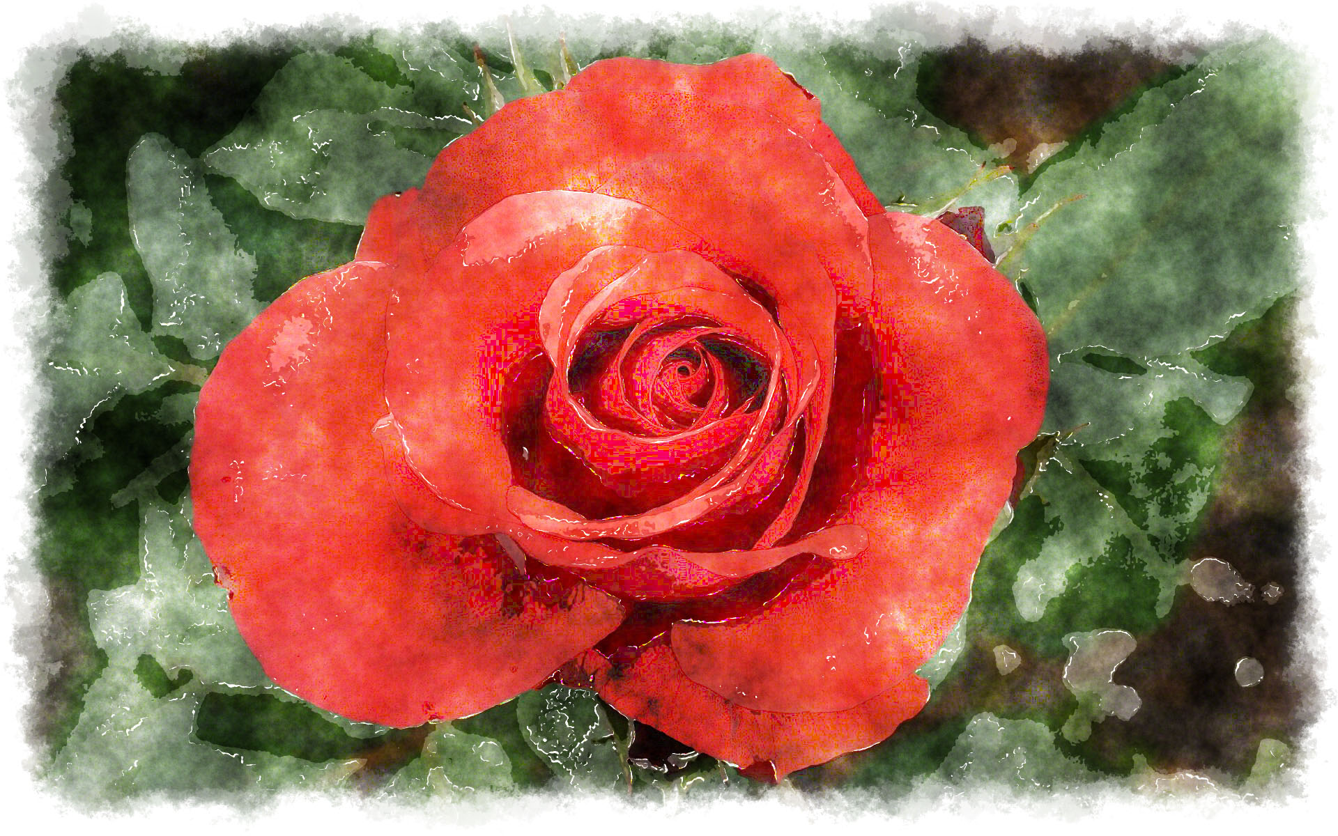 Rose Red Watercolor House World Paper Photos Photo Decoration