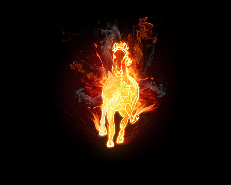 Free download 3D Fire Horse Wallpapers [800x640] for your Desktop