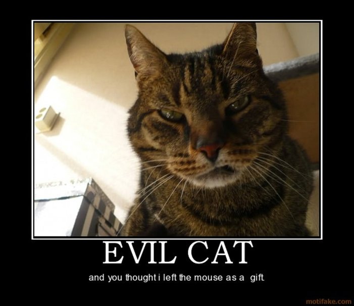 Evil Cat Wallpaper