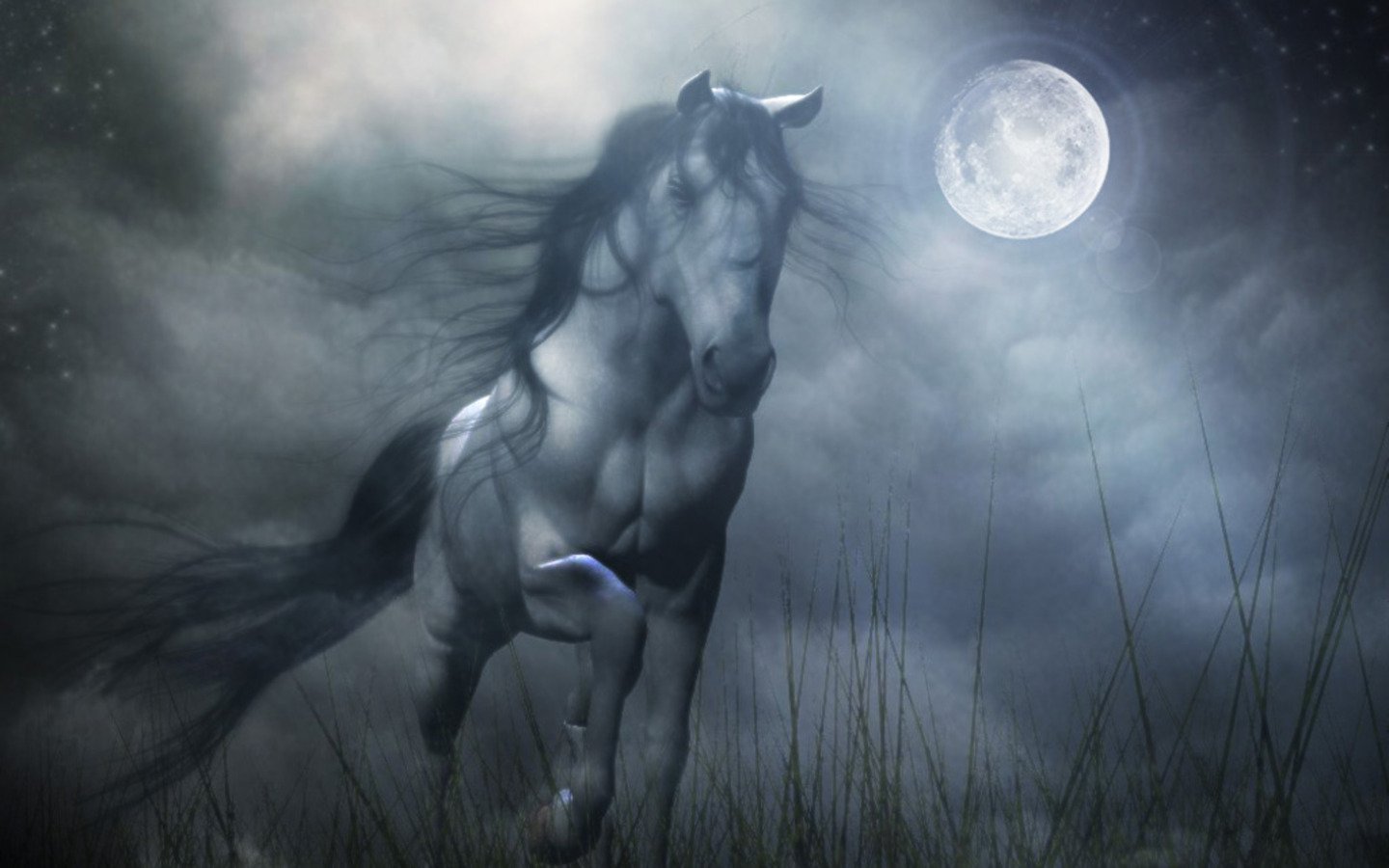 Download Fantasy Horses wallpaper fantasy horse