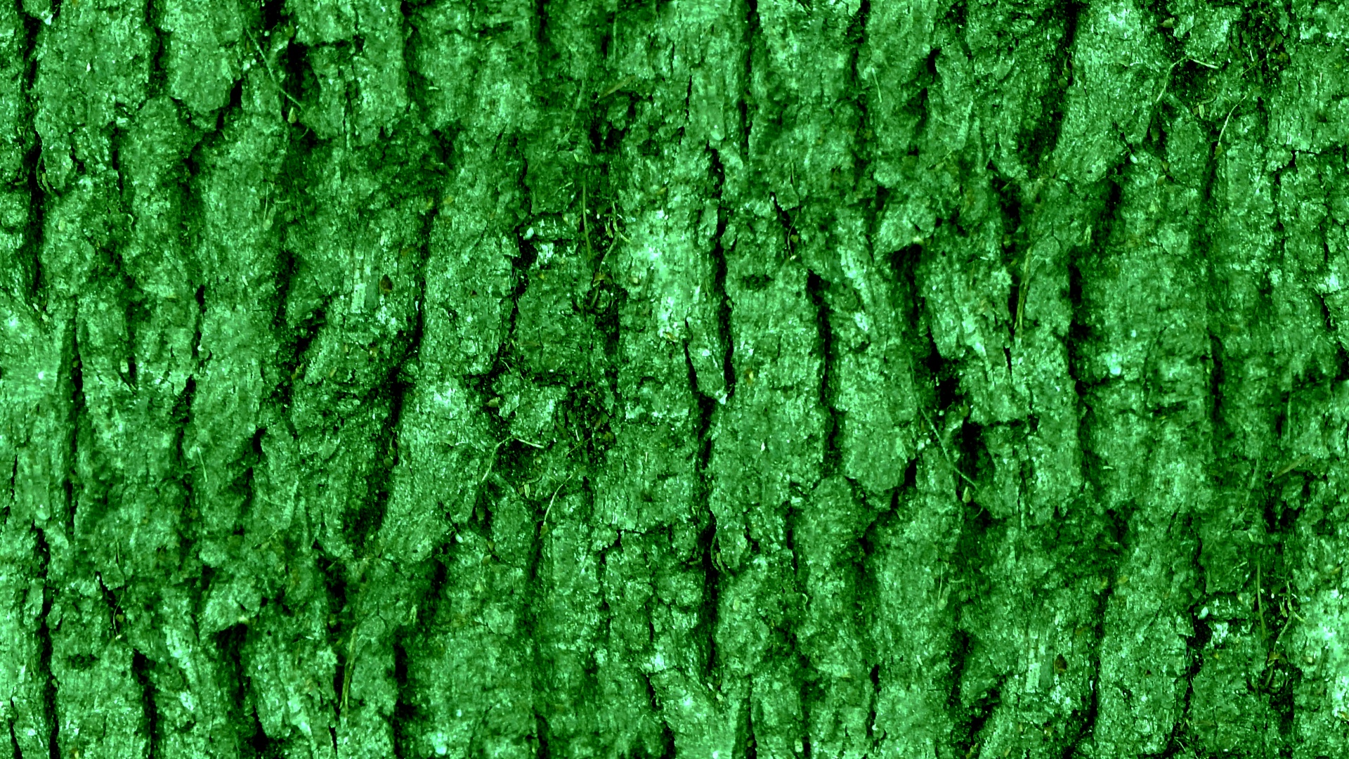 Green Wallpaper Background Web Website Photo From Needpix