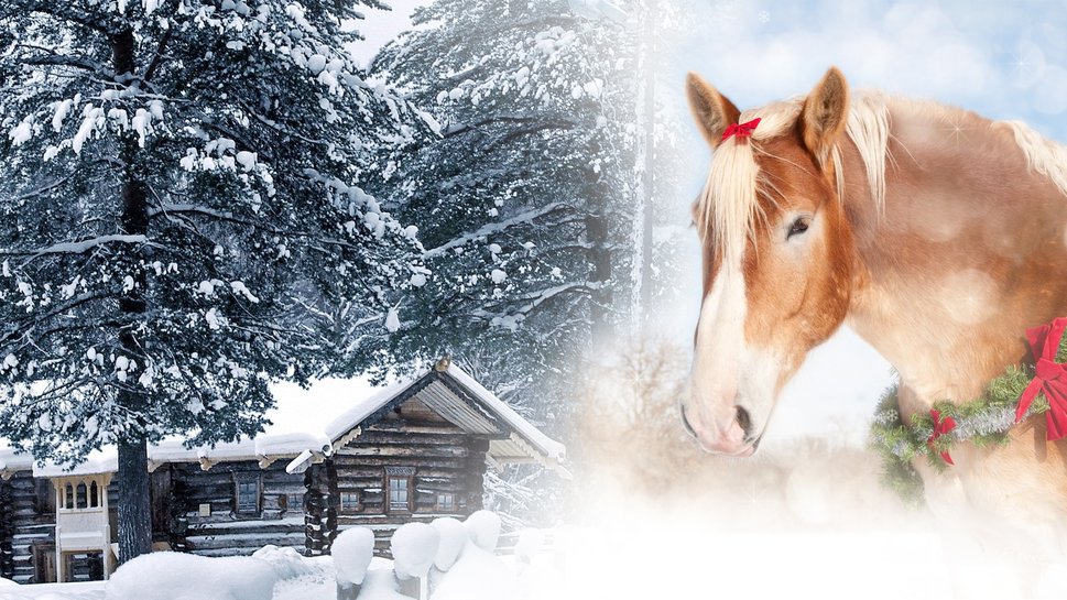 Christmas Horse Wallpaper And Cabin