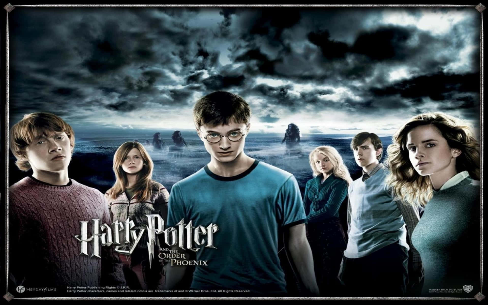 Harry Potter All Characters Wallpaper