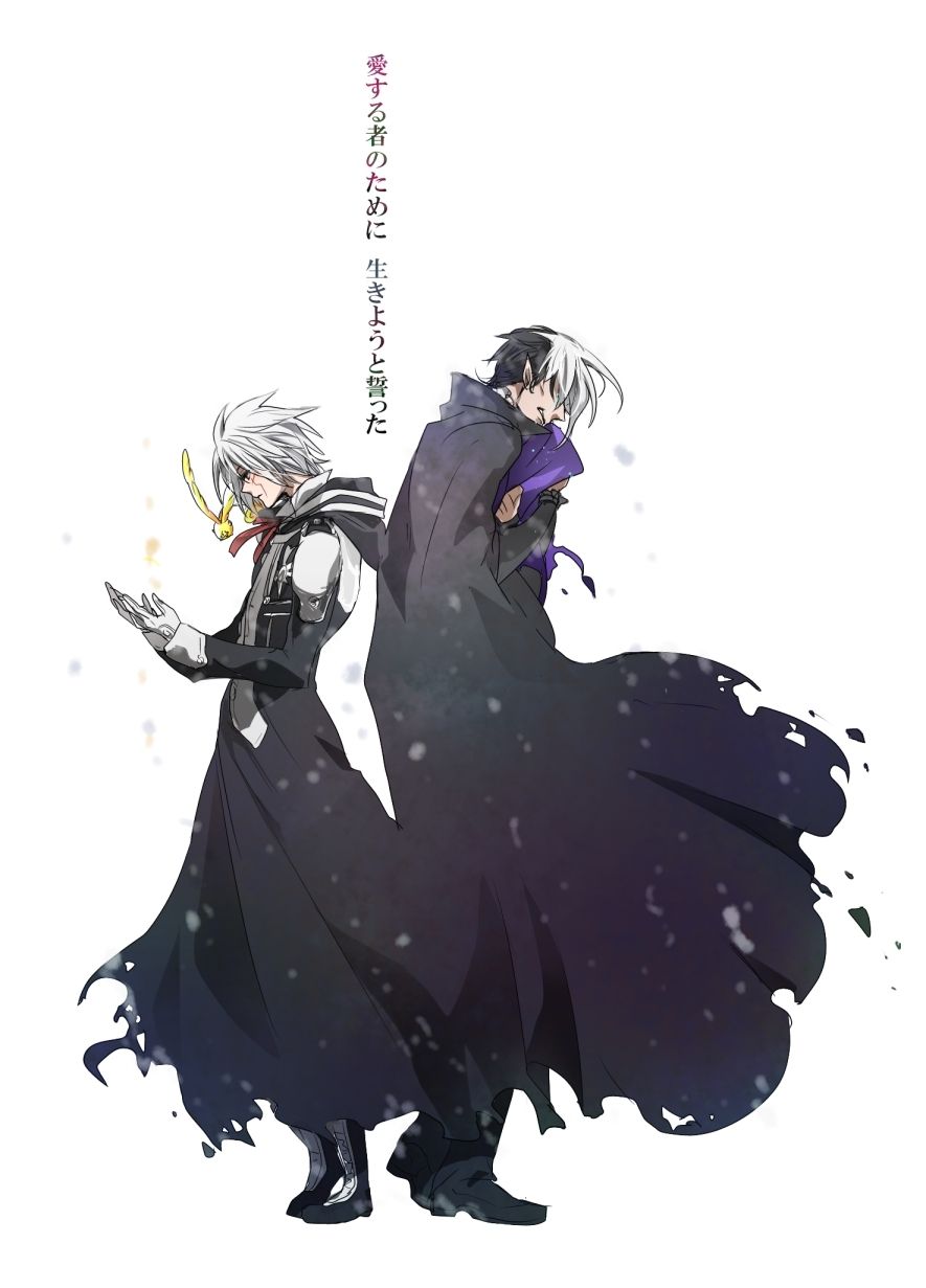 D Gray Man Allen Walker Arystar Krory Iii