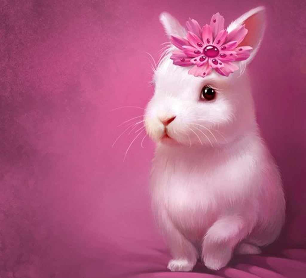 Cute Bunny Wallpaper