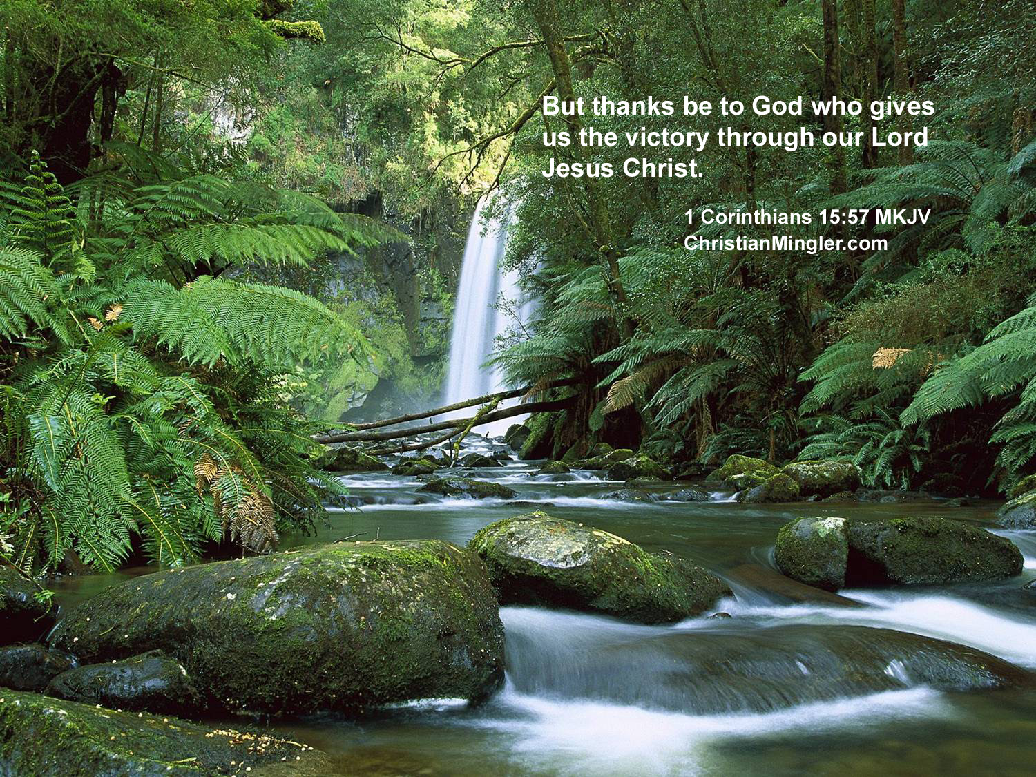 But Thanks Be To God He Gives Us The Victory Through Our Lord Jesus
