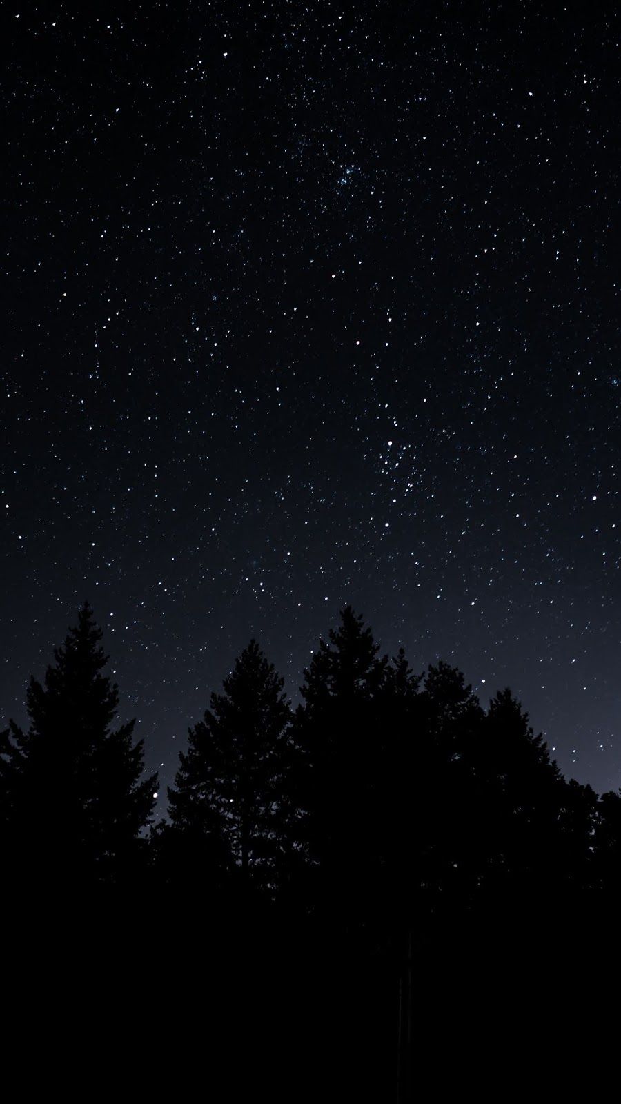 Sky Starry Trees Night Id Wallpaper