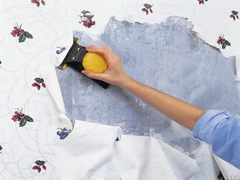 Free Wallpaper Removal Tools Easy Method 800x600 For Wallpaper Removal Tools Easy Method