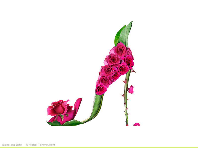 Shoe Fleur Exquisiteness Photo Manipulation Abstract X