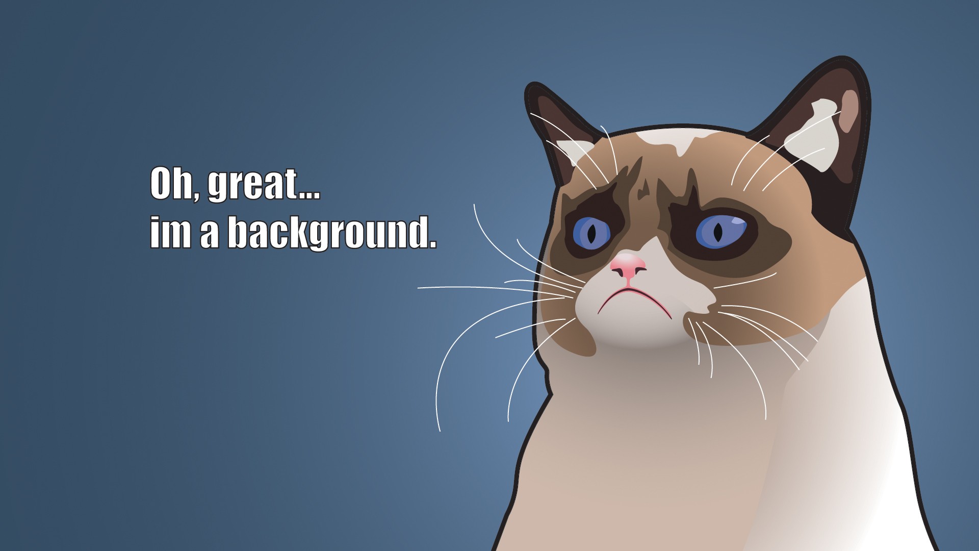 Grumpy Cat Cartoon Background HD Wallpaper of Animals