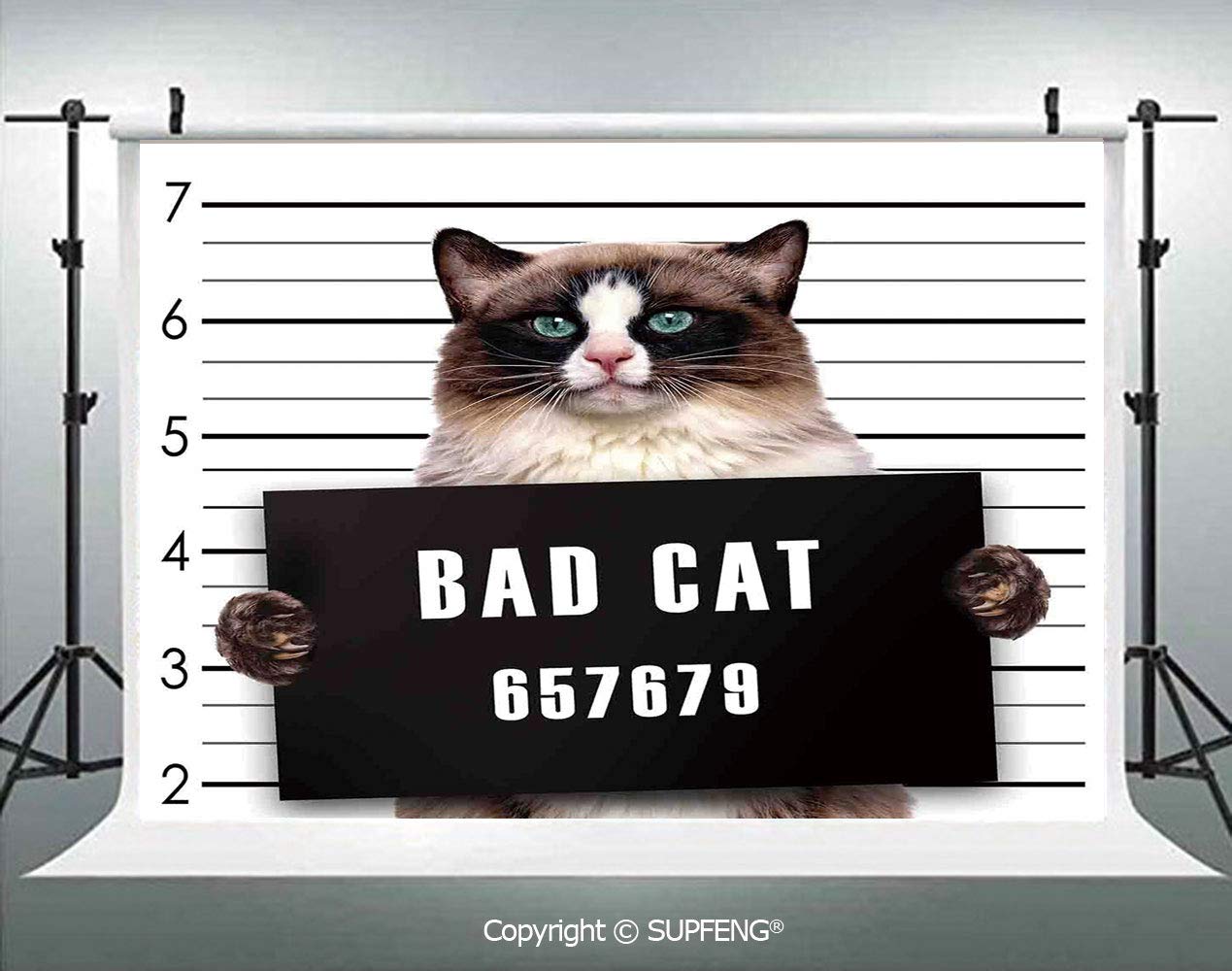 Amazon Photography Background Bad Gang Cat In Jail Kitty