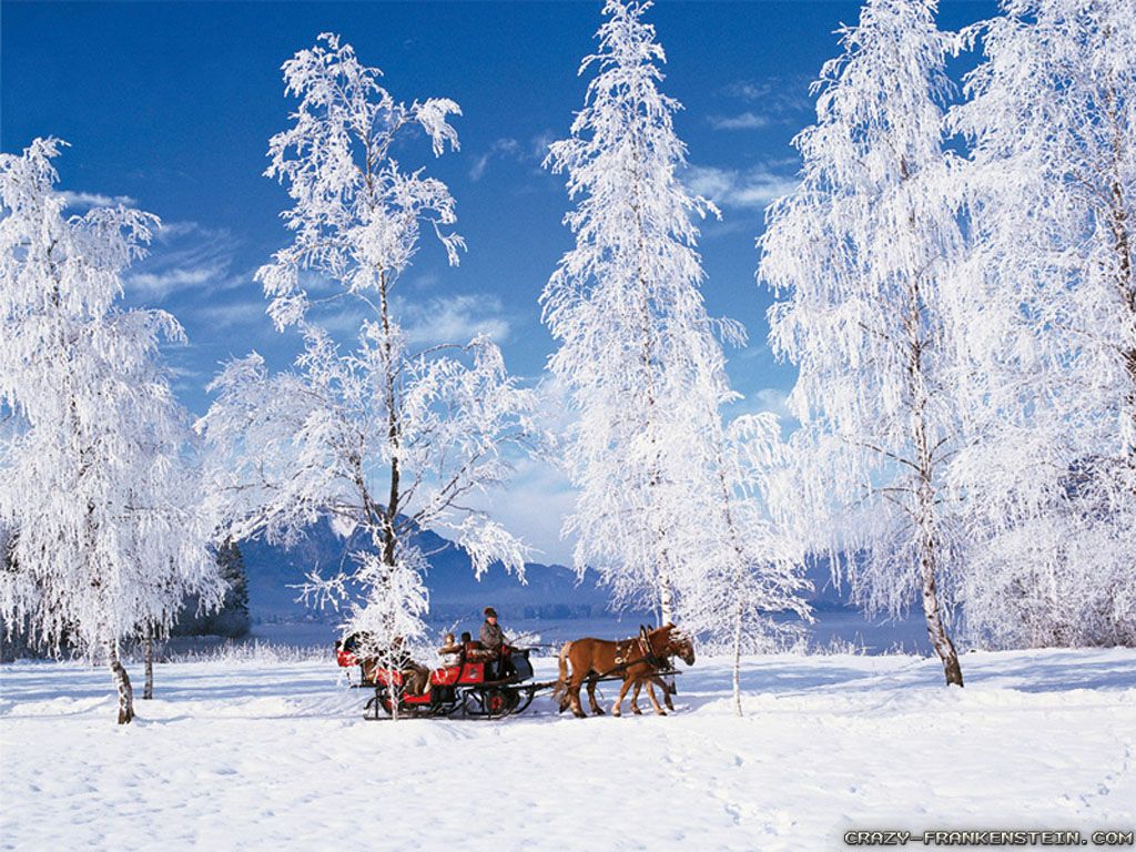 Beautiful Snowy Scene Wallpaper Walpapers Winter