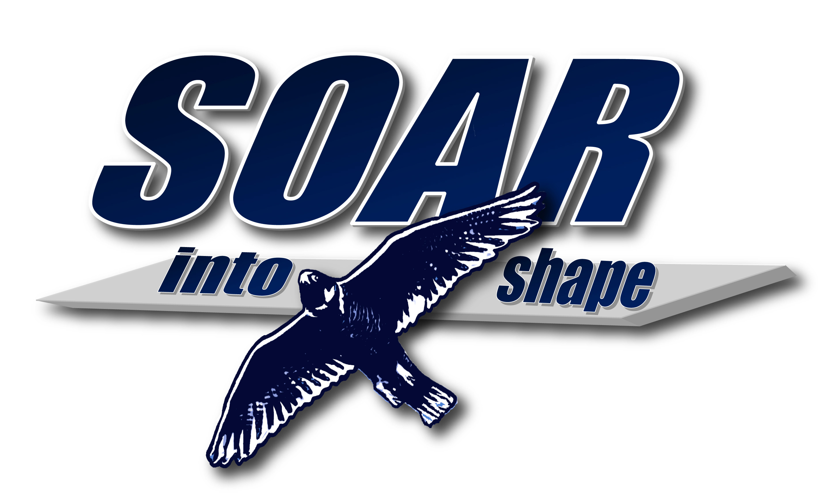 Soar Into Shape Logo With White Background