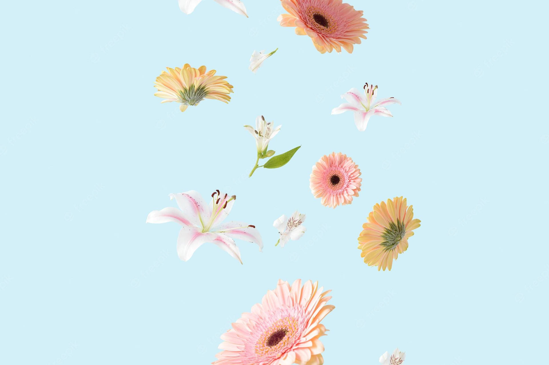 Aesthetic Spring Wallpaper