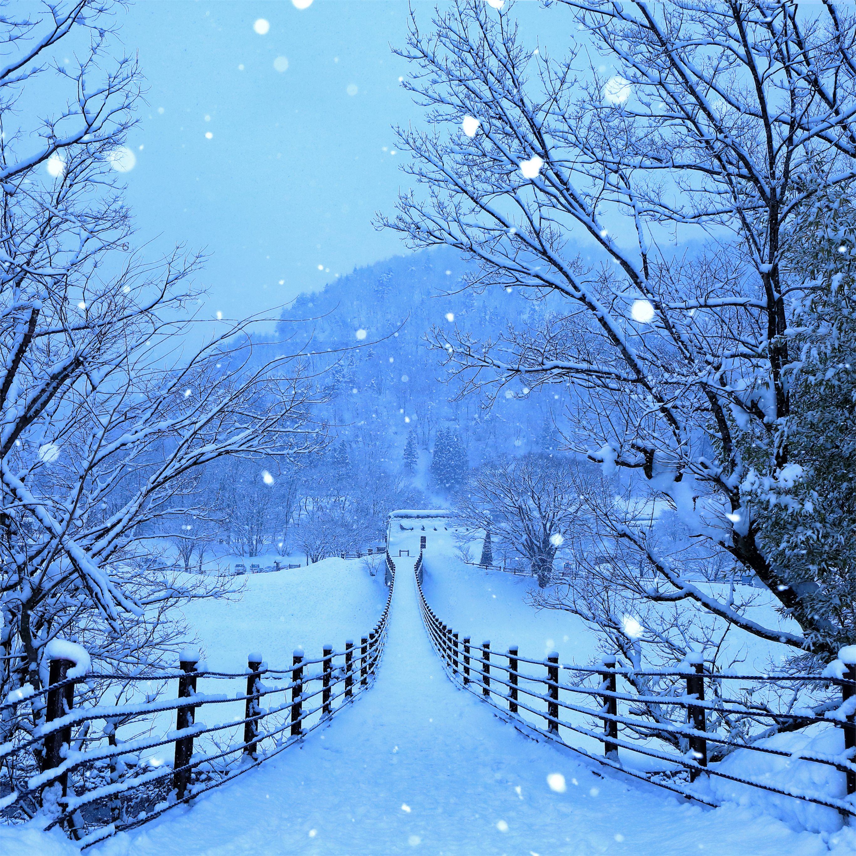 Winter Roads Of Japan 4k iPad Pro Wallpaper