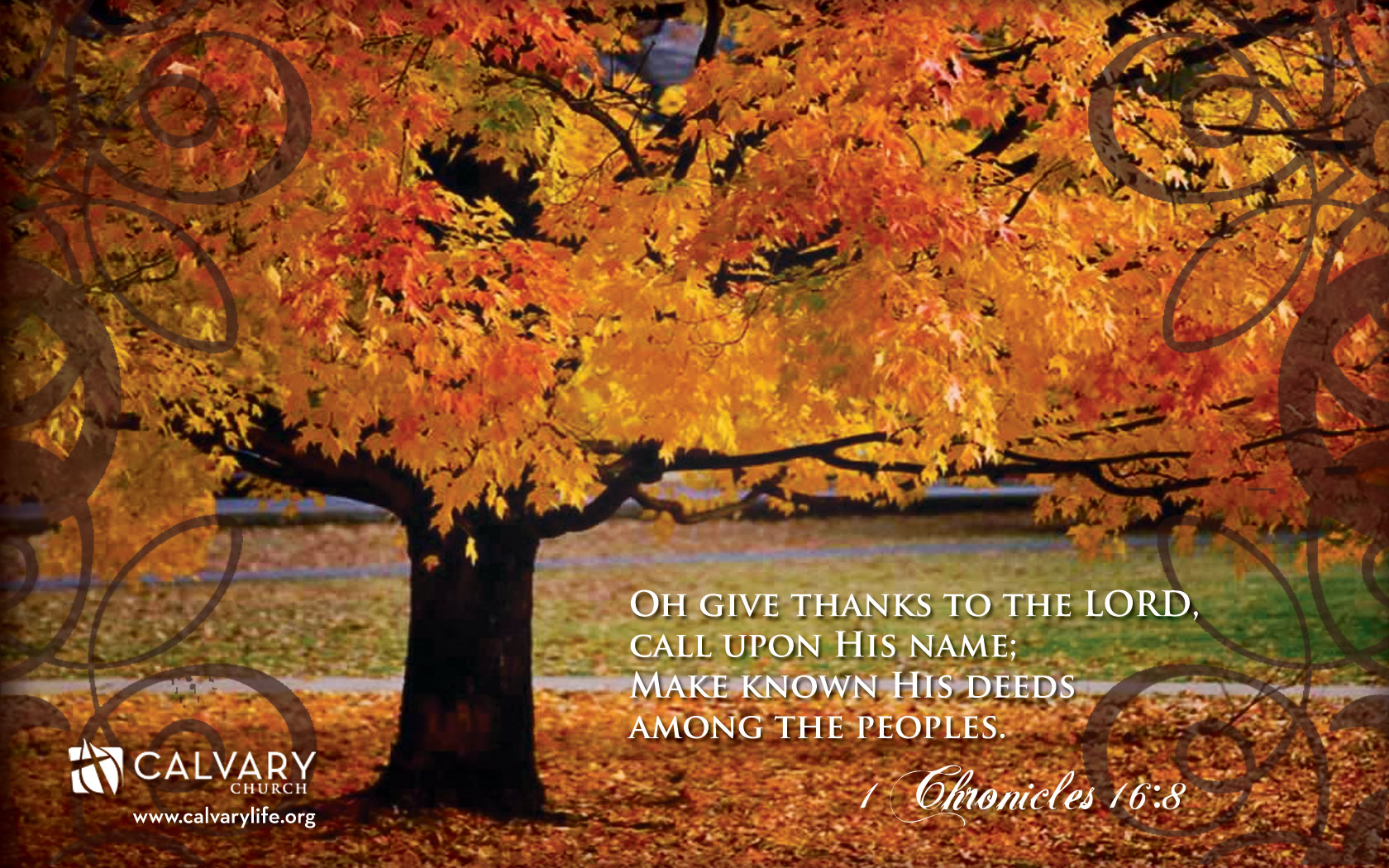 1 Chronicles 168   Give Thanks Wallpaper   Christian Wallpapers 1680x1050