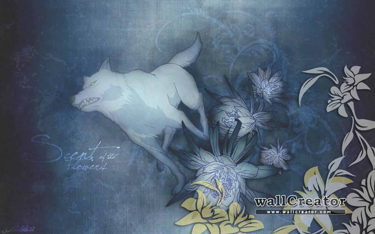 Wolfs Rain Flower Wallpaper