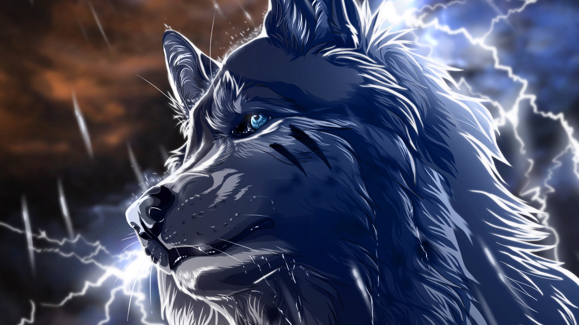 Wolf S Rain Full HD Wallpaper And Background