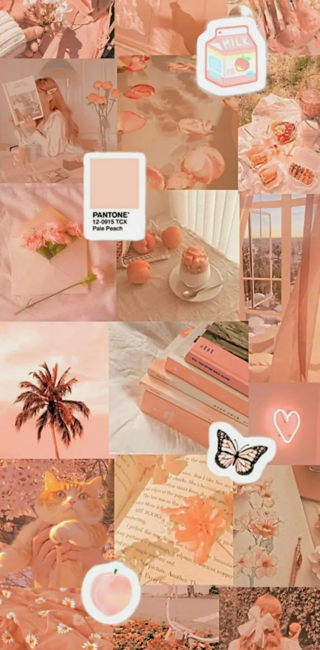 Peach Aesthetic Wallpaper