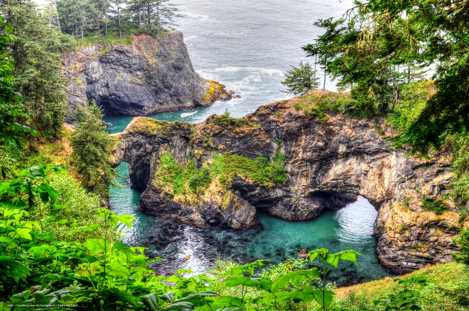 Wallpaper Natural Bridge Oregon Coast Sea Rocks Desktop