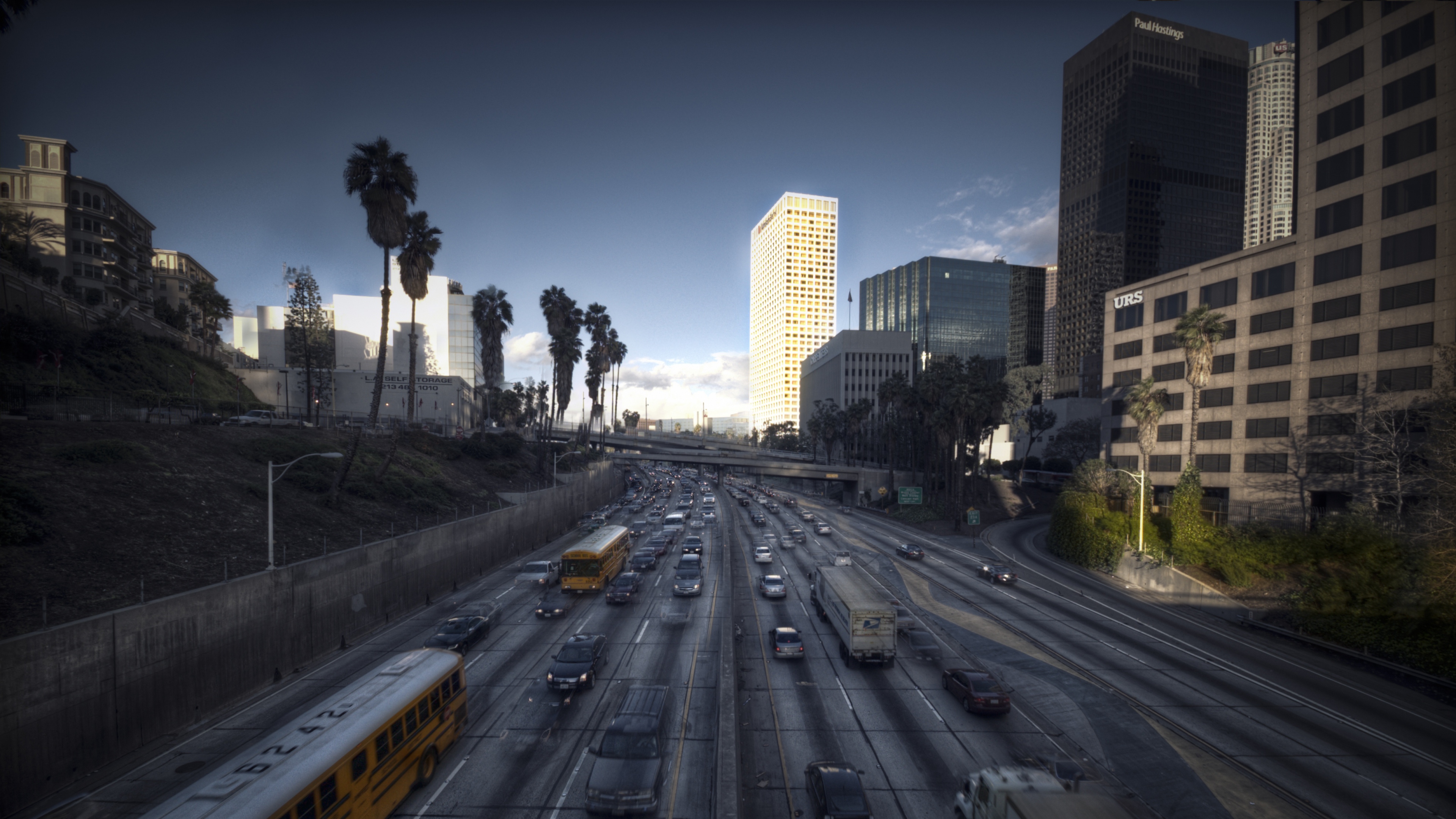 Los Angeles City Landscape California