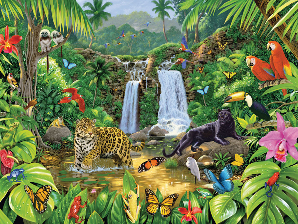 Wildlife Animals Wallpaper Stock Illustration  Download Image Now  Animal  Rainforest Zoo  iStock