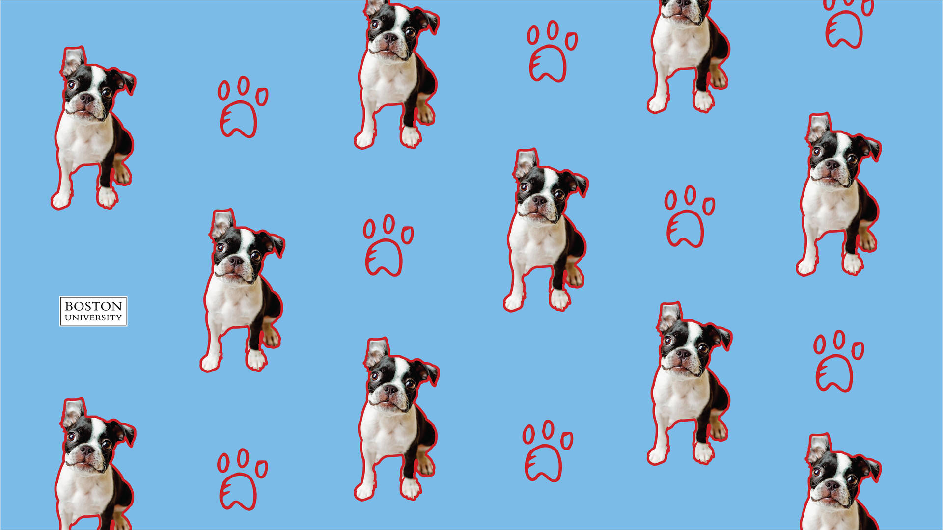 Boston University Terriers 6d9xohiw8powckzn Wallpaper