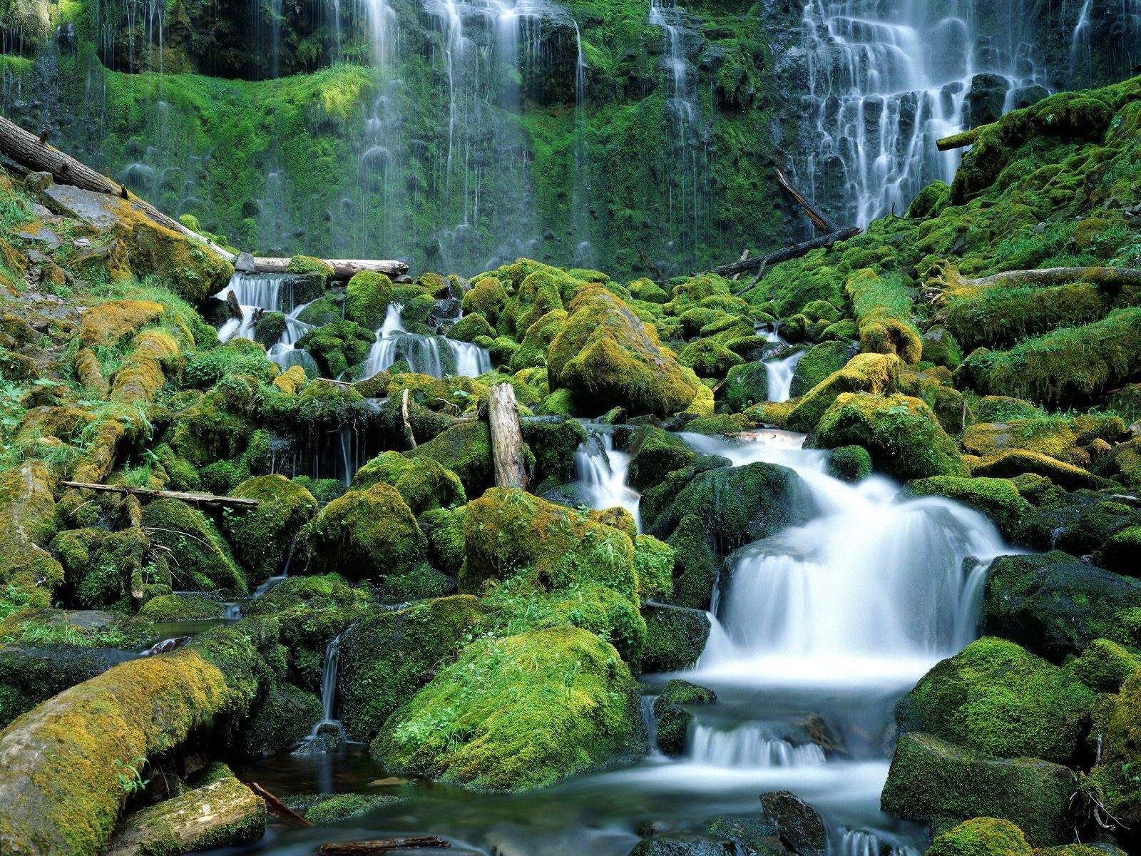 Waterfall In Grass Wallpaper