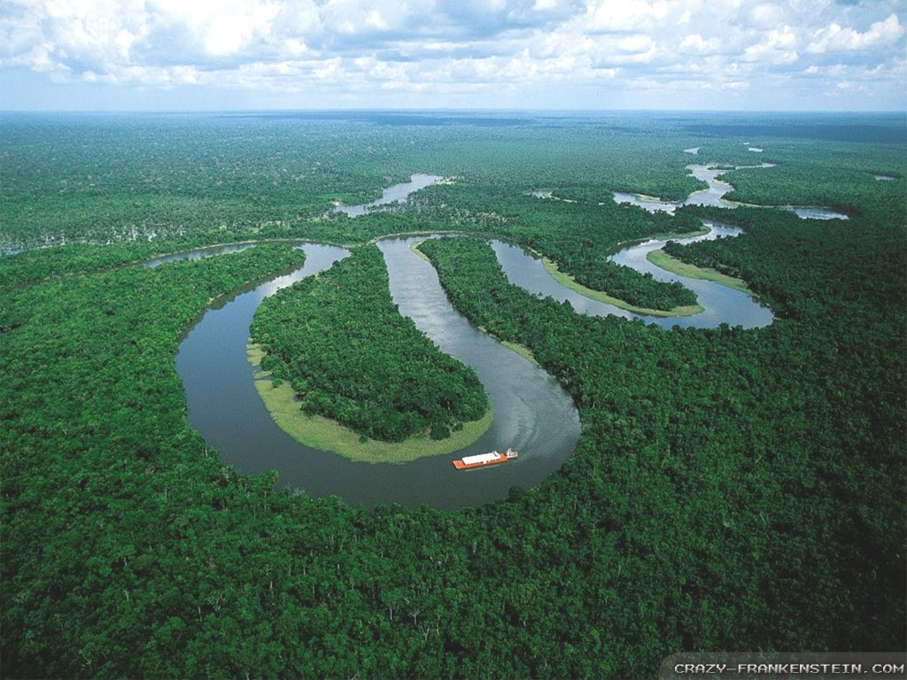 Wallpaper Amazon River