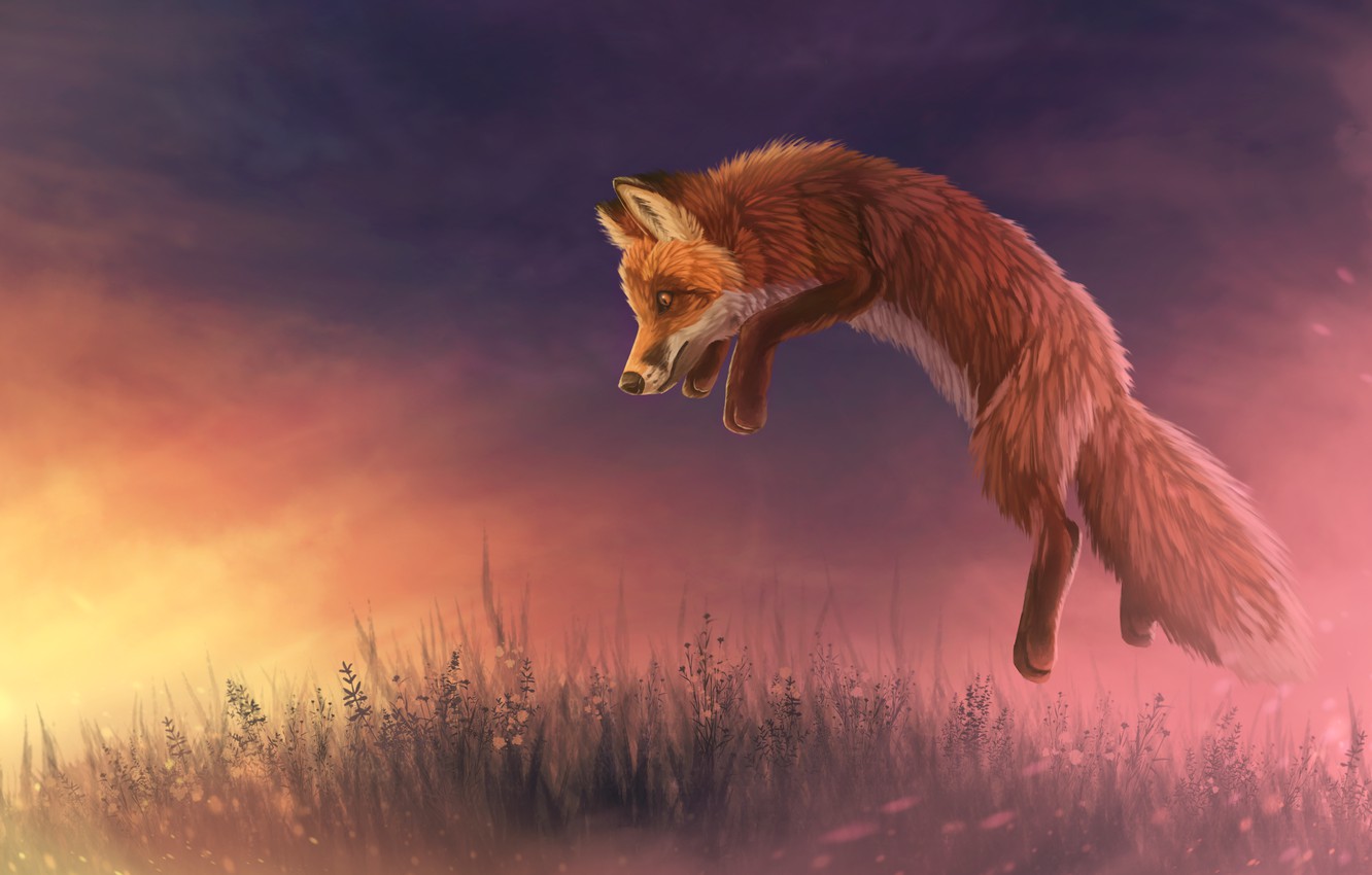 Wallpaper Sunset Nature Jump Fox By Creeperman0508 Image For