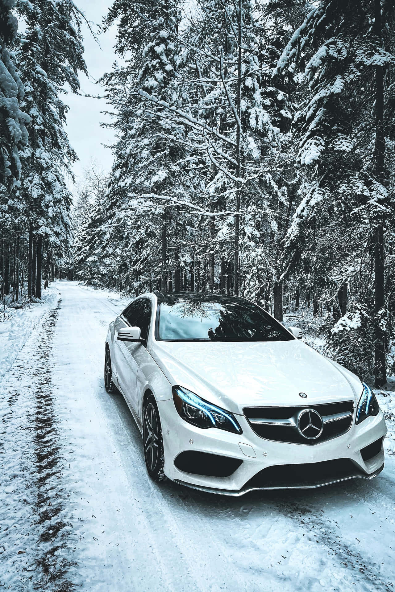 Mercedes Benz Car Wallpaper