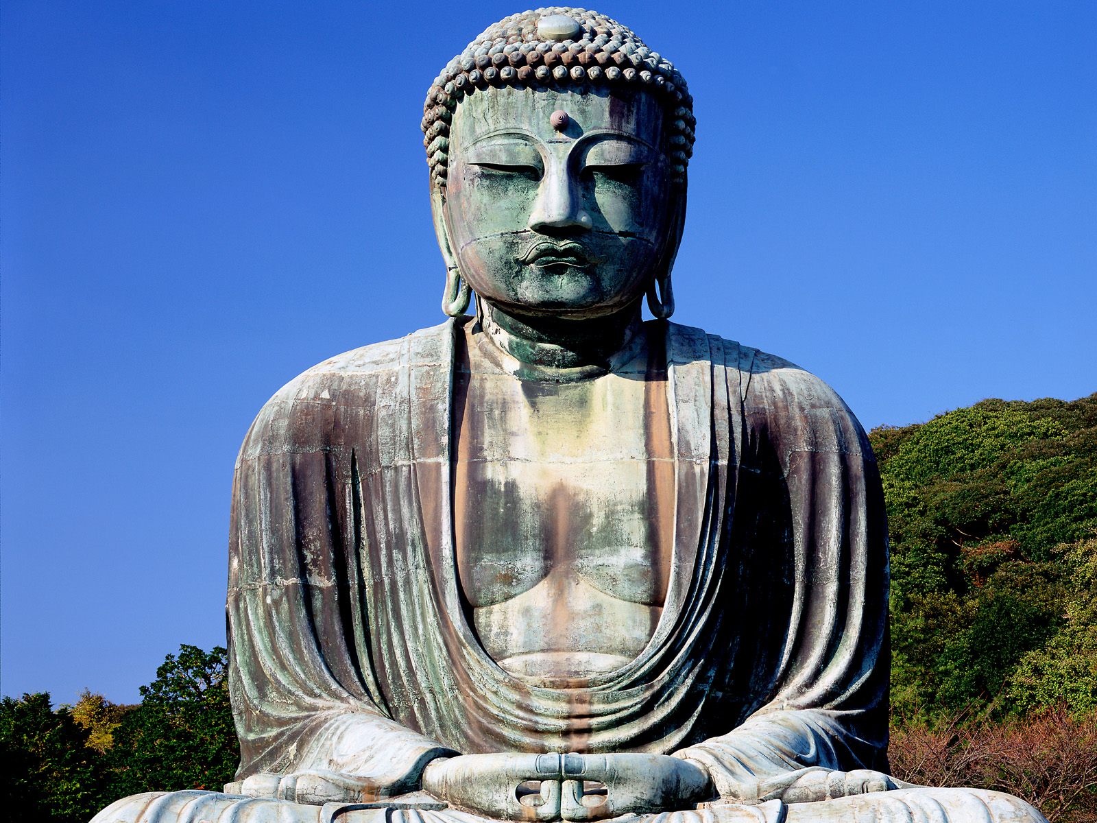 The Great Buddha Kamakura Japan Picture