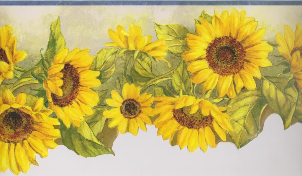 Yellow Sunflowers Blue Trim Wallpaper Border Chesapeake Kbe12511b