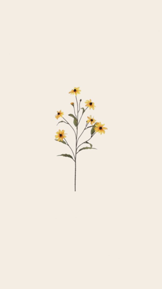 Minimalist Flower Wallpaper In Flowers