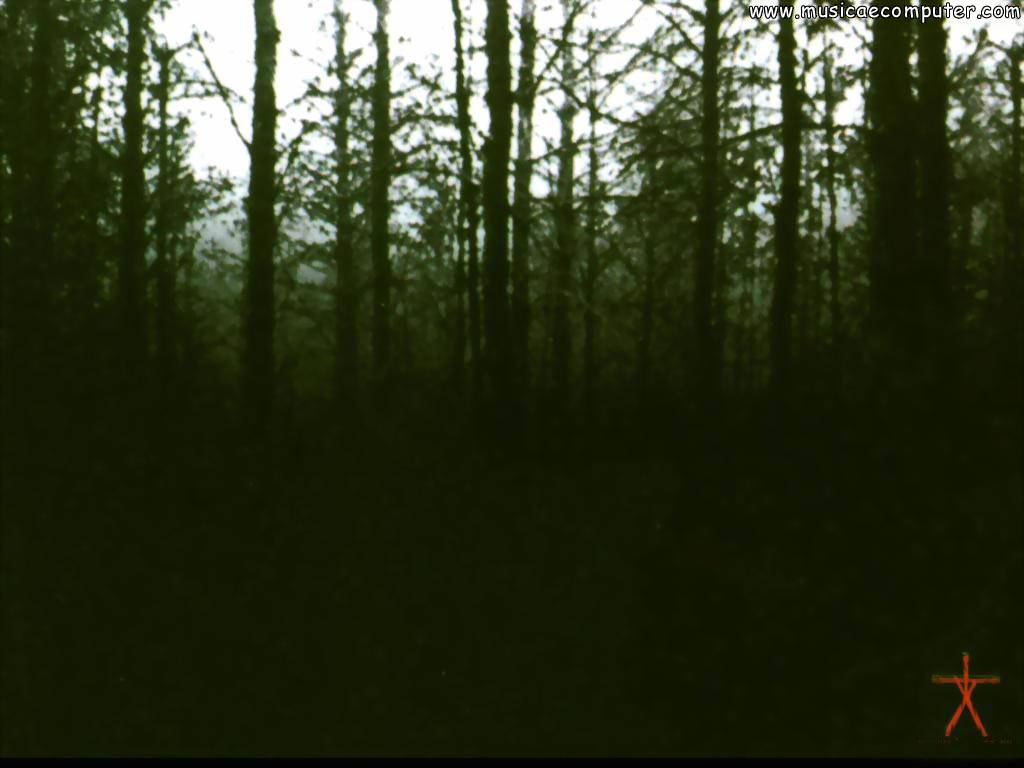Desktop Wallpaper Movies The Blair Witch Project Pic Photos