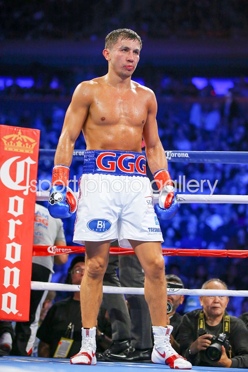 Gennady Golovkin V David Lemieux New York Image Boxing