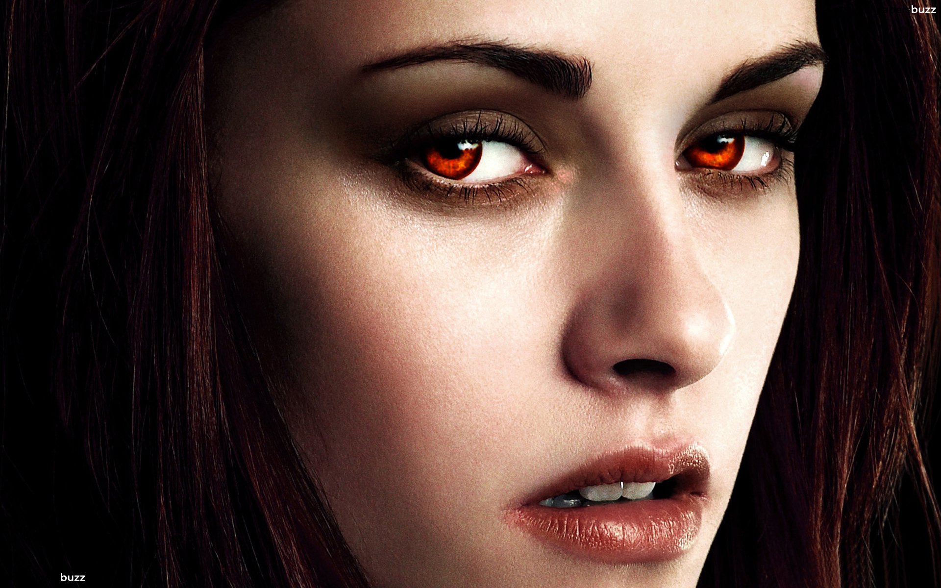 Kristen Stewart Bella Vampire HD Wallpaper Of Celebrities