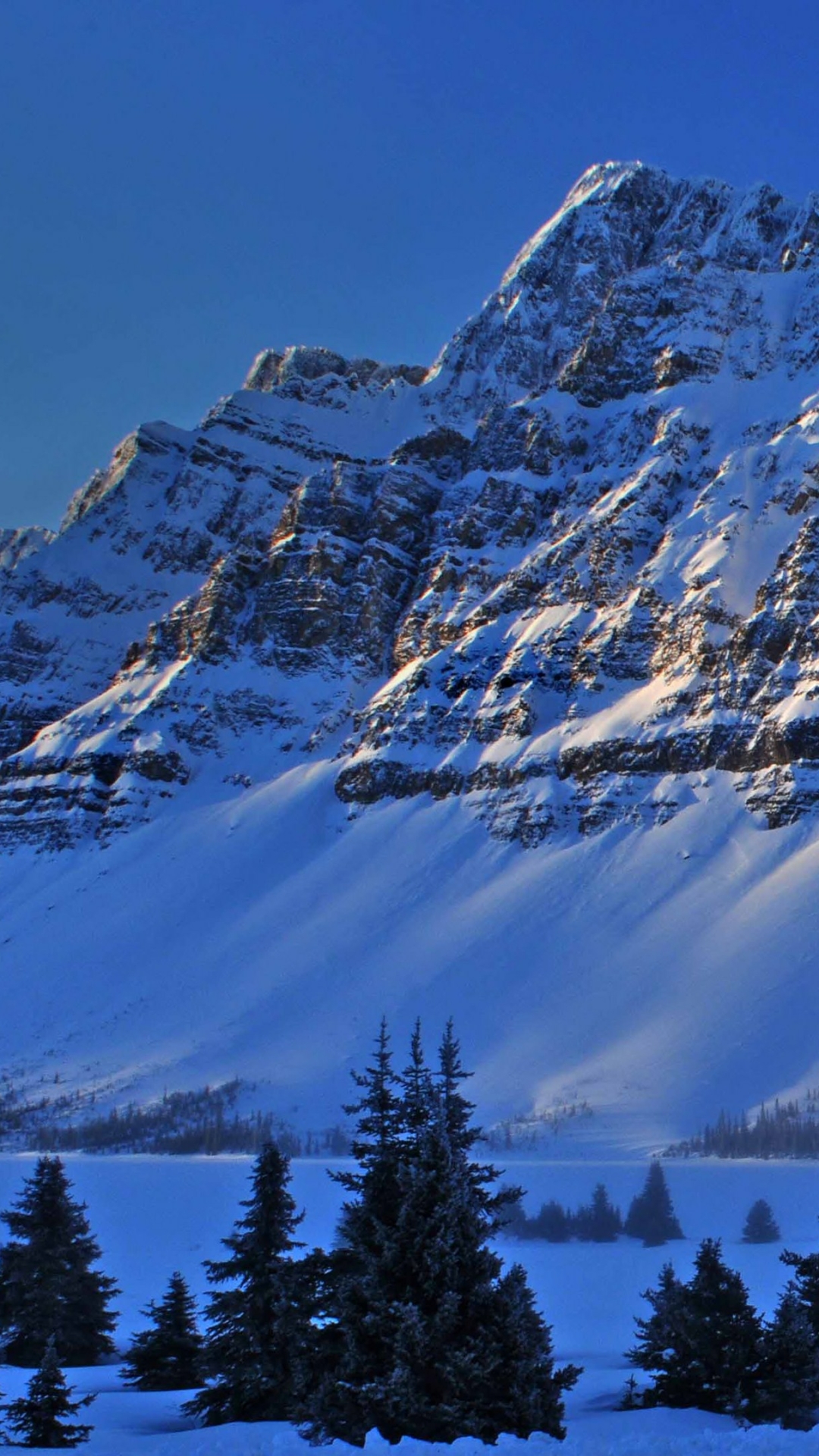 Nature Winter Phone Wallpaper