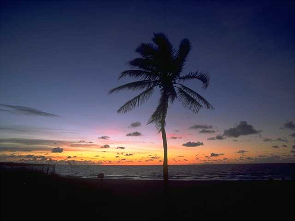 Tropical Sunrise and Sunset Wallpapers Product Reviews and Buying