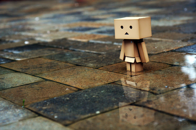 First I Used Danbo For My Wallpaper Picswallpaper