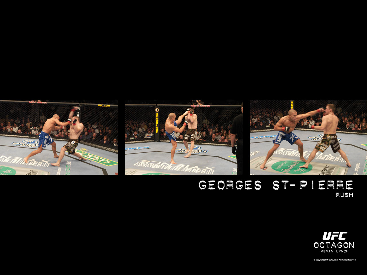 The Gallery For Octagon Ufc Wallpaper