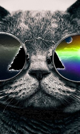 Cool Cat Live Wallpaper For Android By Safat Appszoom