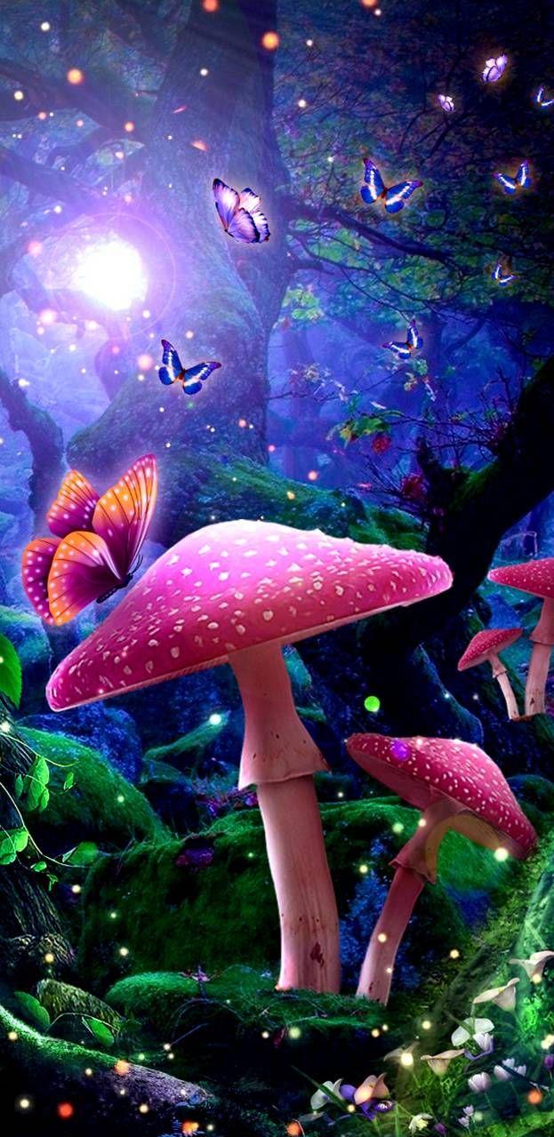 Fantasy Wallpaper Mushroom Fairy