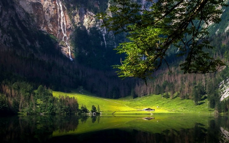 Lake Mountain Forest Trees Grass Germany Cabin Reflection