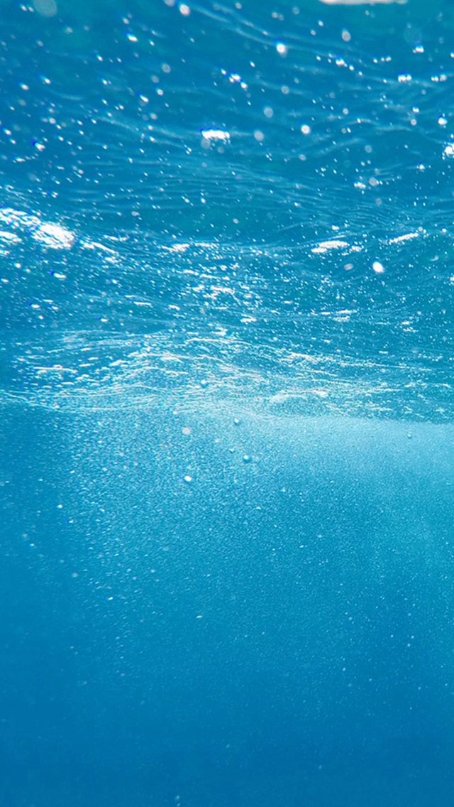 Bong bóng nhỏ và mảnh mai vô số, tản bộ trong một thế giới dưới đại dương lấp lánh. Hãy xem chúng lượn lờ và chơi đùa giữa những cảnh tuyệt đẹp của những ngọn sóng xanh ngút ngàn.